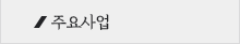 주요사업